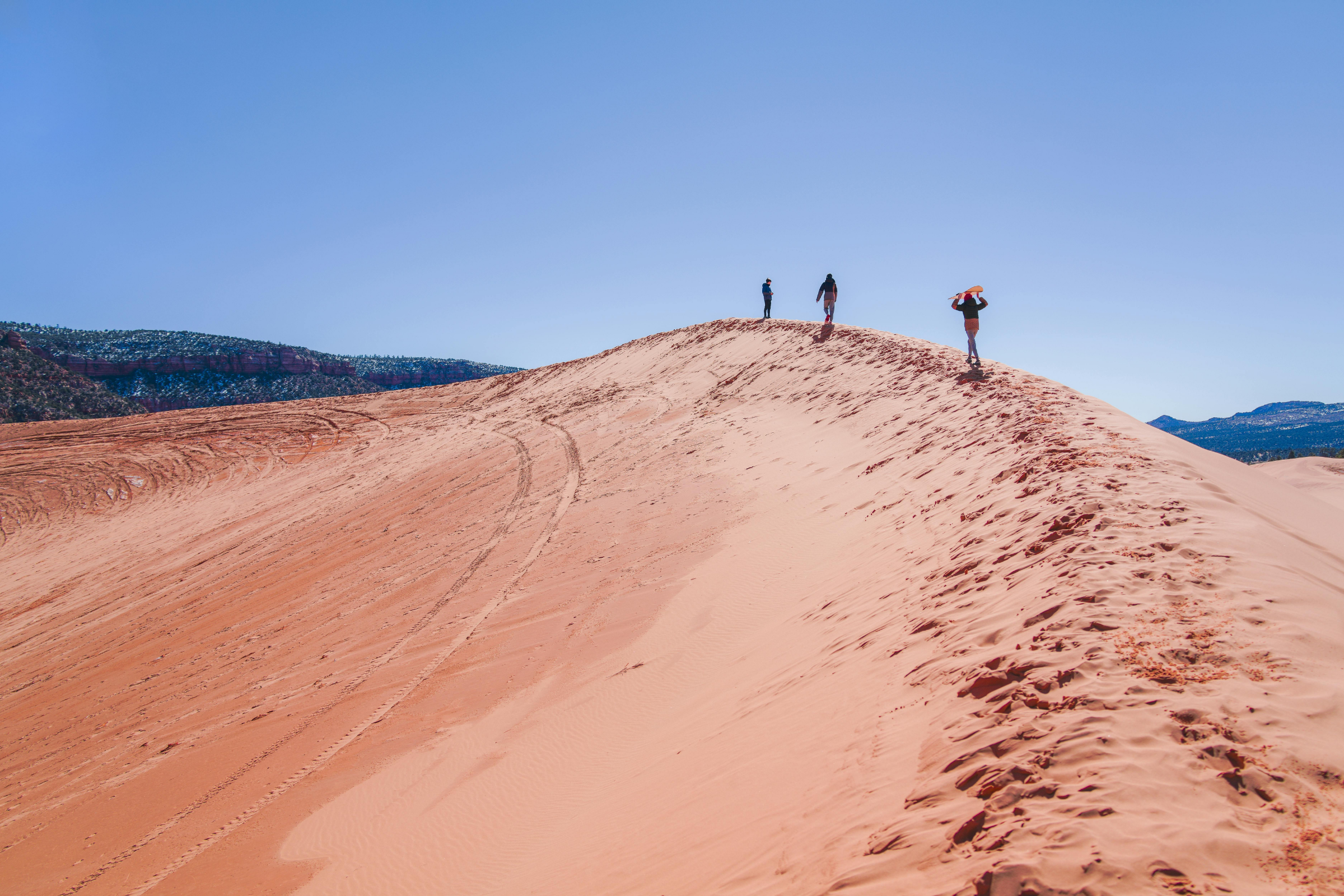 coral pink sand dunes national park, utah.webp